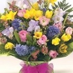 Rainbow-PicnMix-Hand-Tied-Bouquet.jpg Rainbow-PicnMix-Hand-Tied-Bouquet.jpg