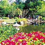 150x150_mtcootthagarden