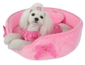 Dog beds: Gift that you can give to your loving dog
