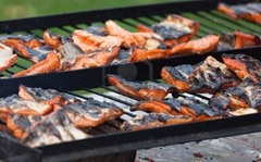 Barbecue Grills