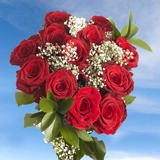 dozen-roses-red-roses