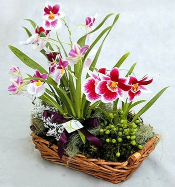 clip_image004