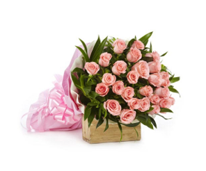 flowers1